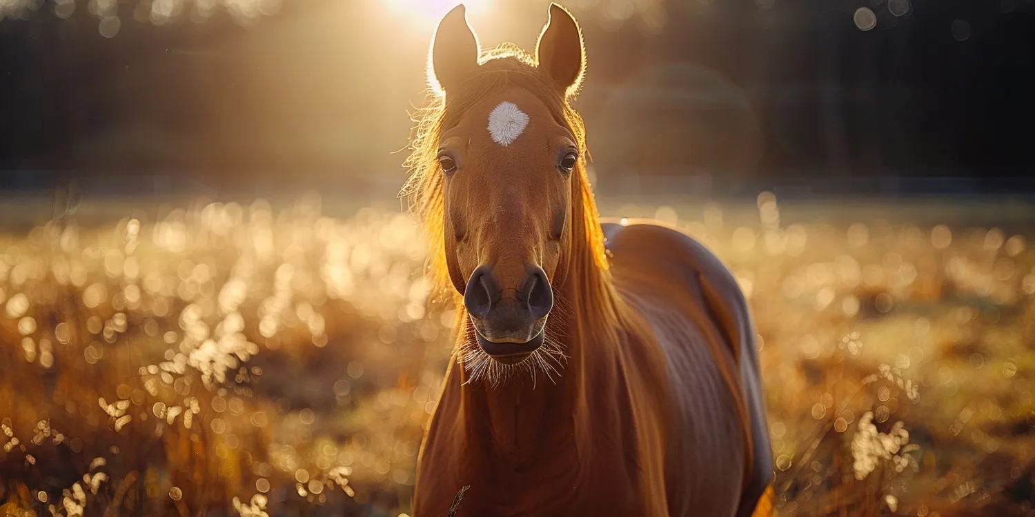 Trawa z rolki kiedy nawozić?